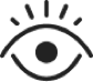 Vision Icon
